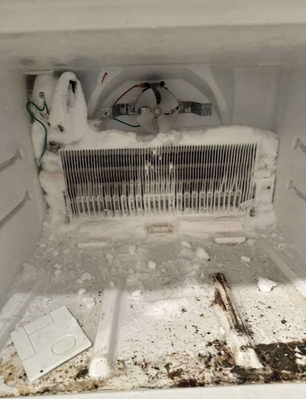 Same-week appliance repair service in Tacoma